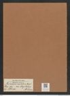 Auliscus caelatus var. strigillatus A. Schm. (de-Toni-Nr.: Genus 171, Species 4362) Zeichnungen Sammlung Grunow Mappe 04320 (Herbarium_W_Grunow_drawings_Folder_04320)